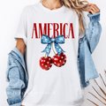 Retro USA Est 1776 DTF Transfer ready-to-press DTF transfer shown on apparel
