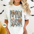 Blue Stripe Pumpkin Season DTF Transfer