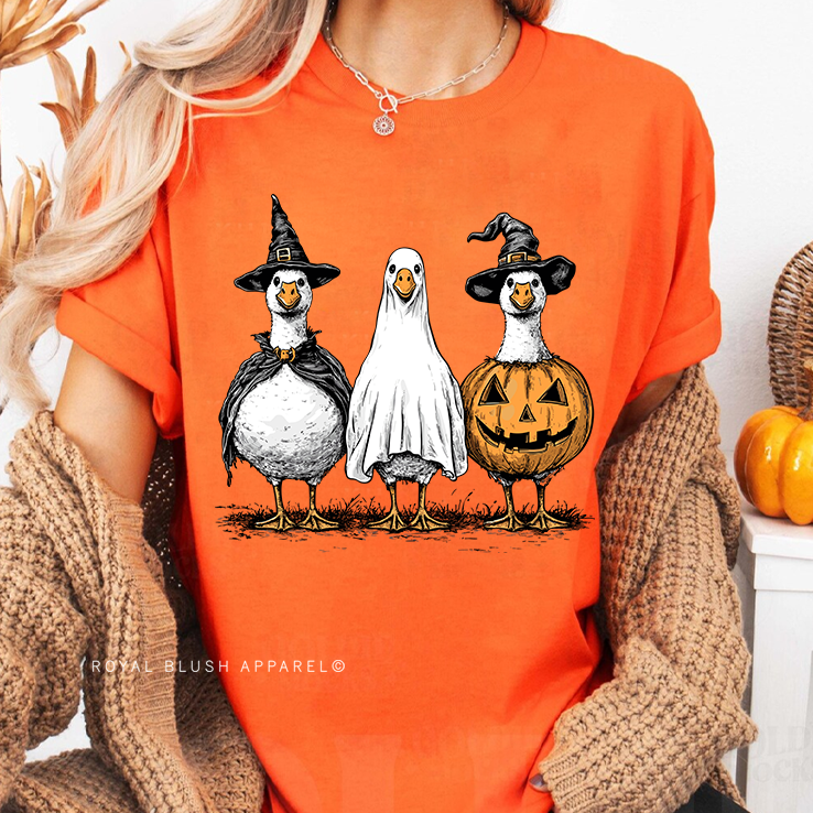 Costume Geese Full Color Transfer
