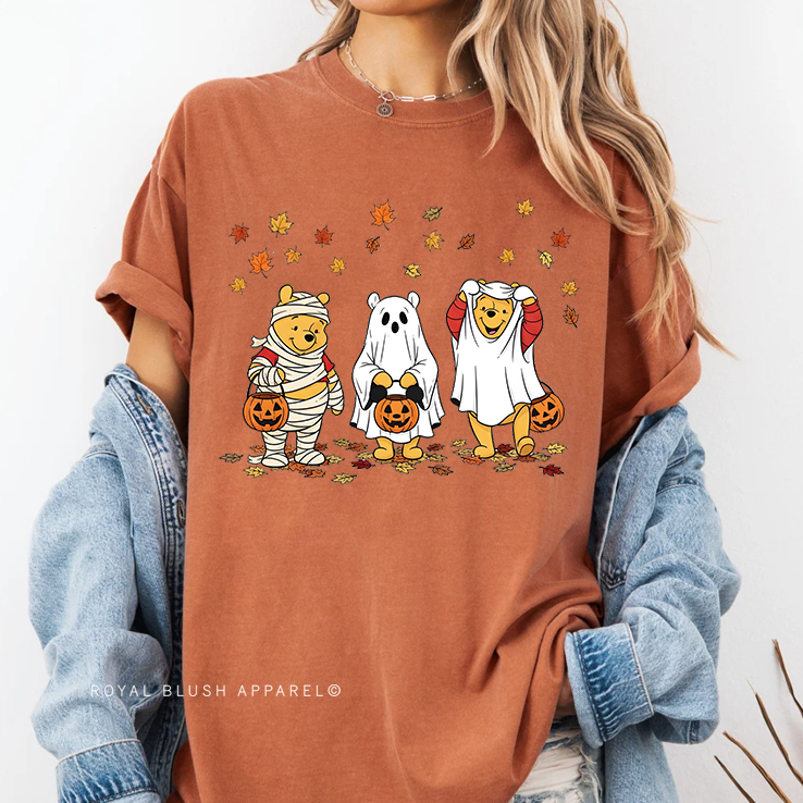 Winnie Costumes Full Color Transfer