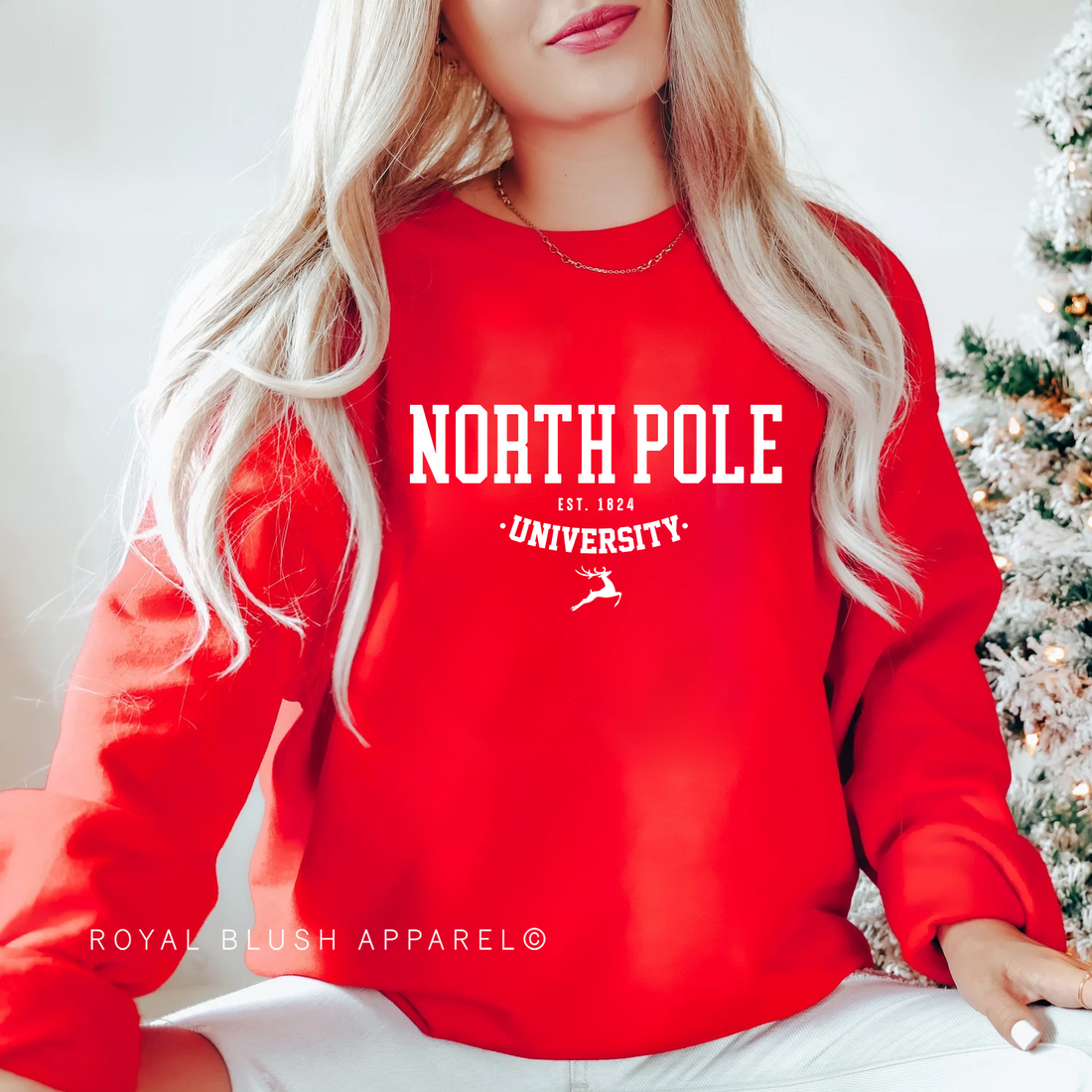 North Pole University Screen Print Transfer