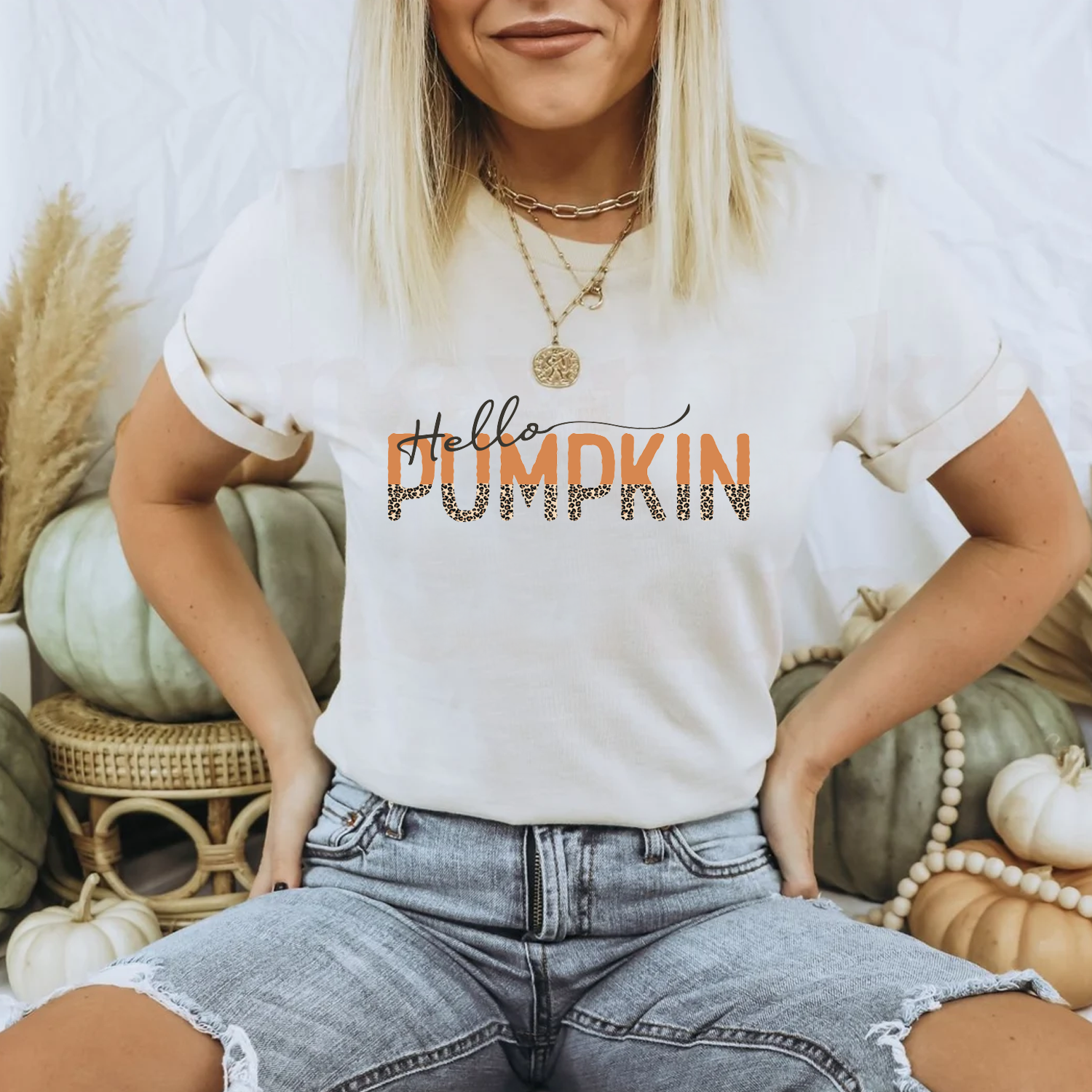 Hello Pumpkin Full Color Transfer